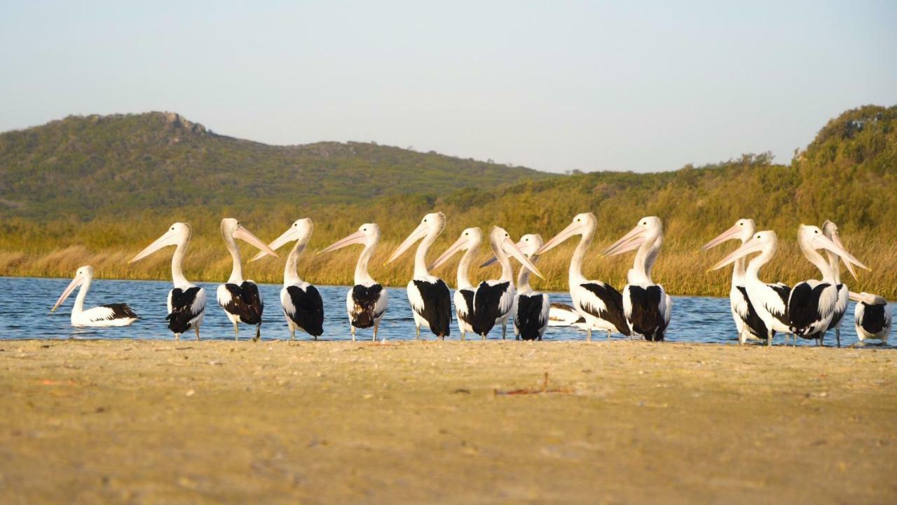 Castaways Moreton Island Bulwer Kültér fotó